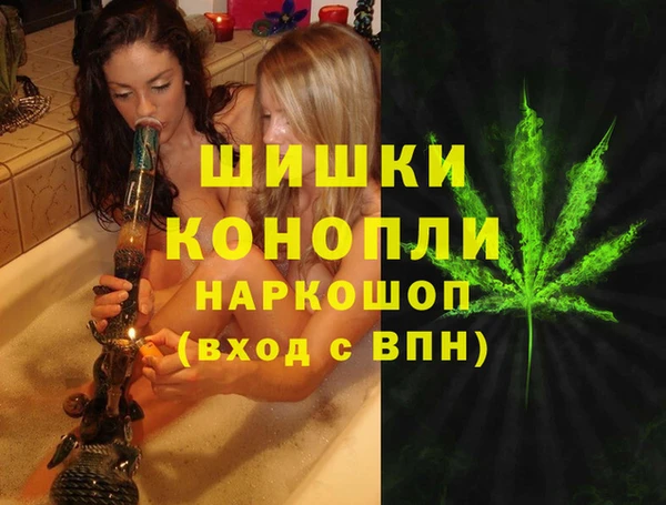 Альфа ПВП Ростов