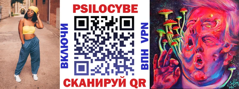 Купить закладки  Староминская  Псилоцибиновые грибы GOLDEN TEACHER 